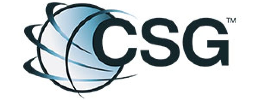 Consulting Services Group