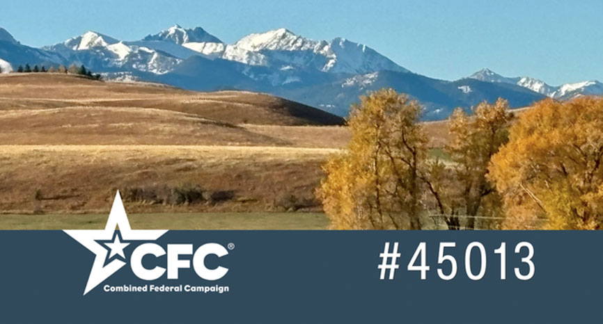 journal-img-cfc CFC #45013