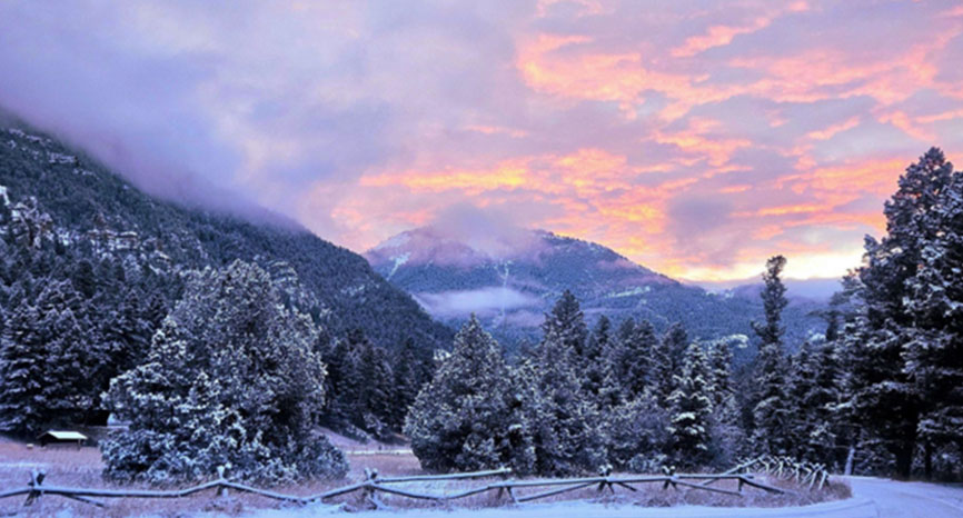 journal-img-yir-2025-1